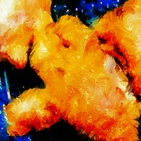 f